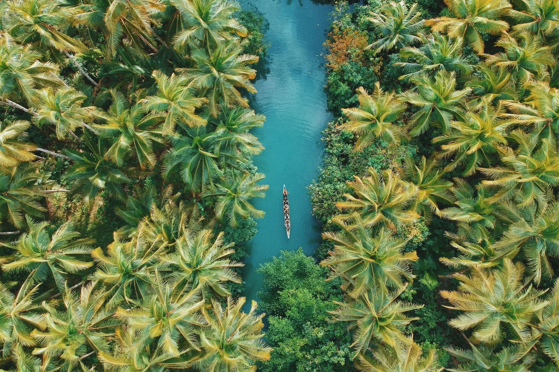 Bild visualisiert den Blog-Beitrag VMware/Broadcom vSphere Lizenzierung – Der Weg durch den Lizenz-Dschungel Bild visualisiert den Blog-Beitrag VMware/Broadcom vSphere Lizenzierung – Der Weg durch den Lizenz-Dschungel